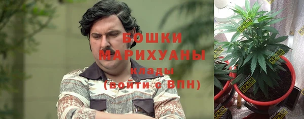 шишки Алексеевка