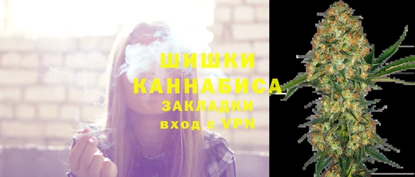 шишки Алексеевка