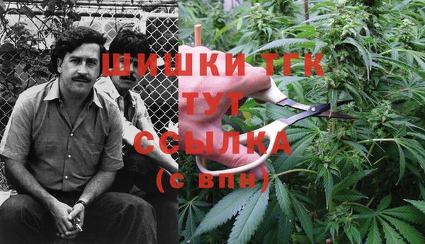 шишки Алексеевка