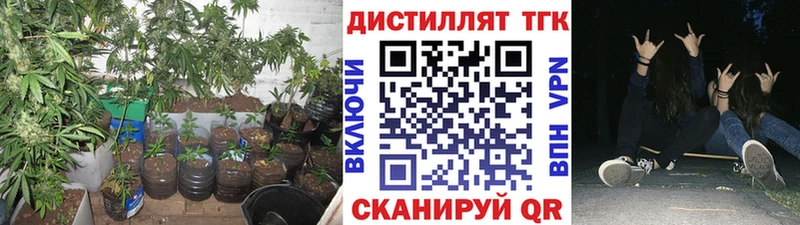 ссылка на мегу ТОР  наркошоп  площадка клад  Дистиллят ТГК вейп  Саянск 